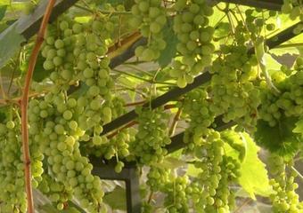 Bernadette Dickinson 22 June 2013_blog