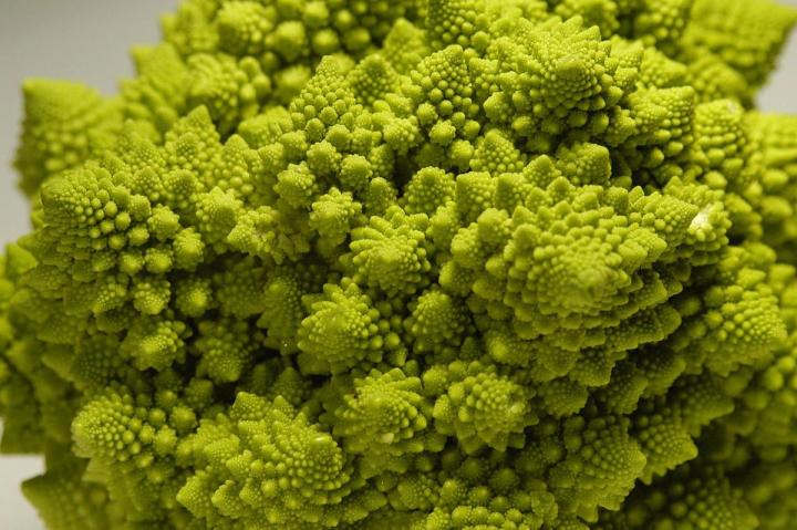 romanesco Pixaby photo