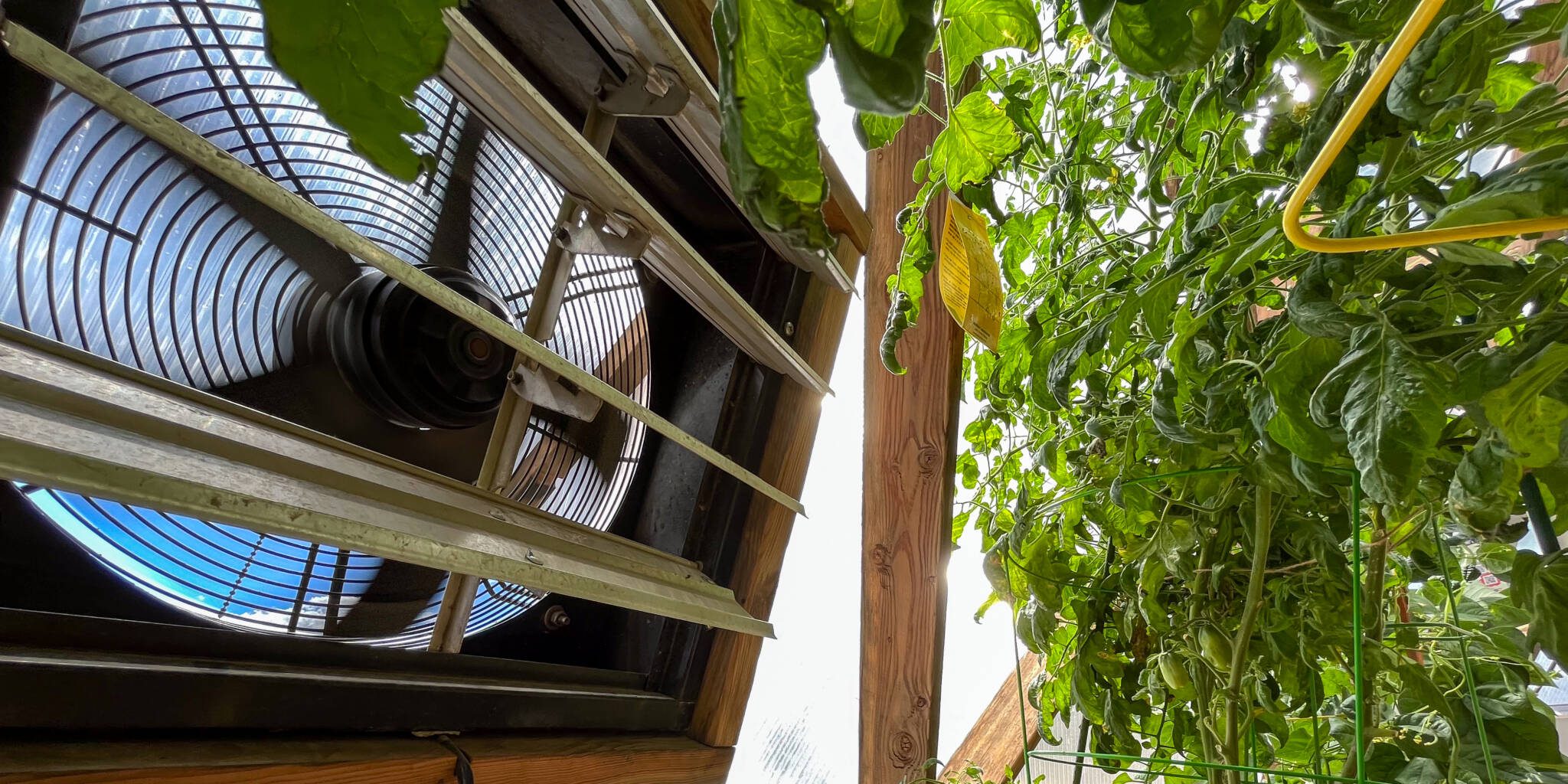 Electric greenhouse fan for greenhouse ventilation