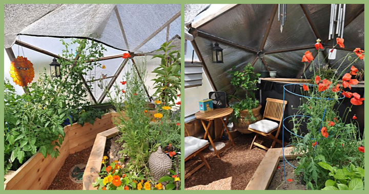 Summer Idaho Growing Dome