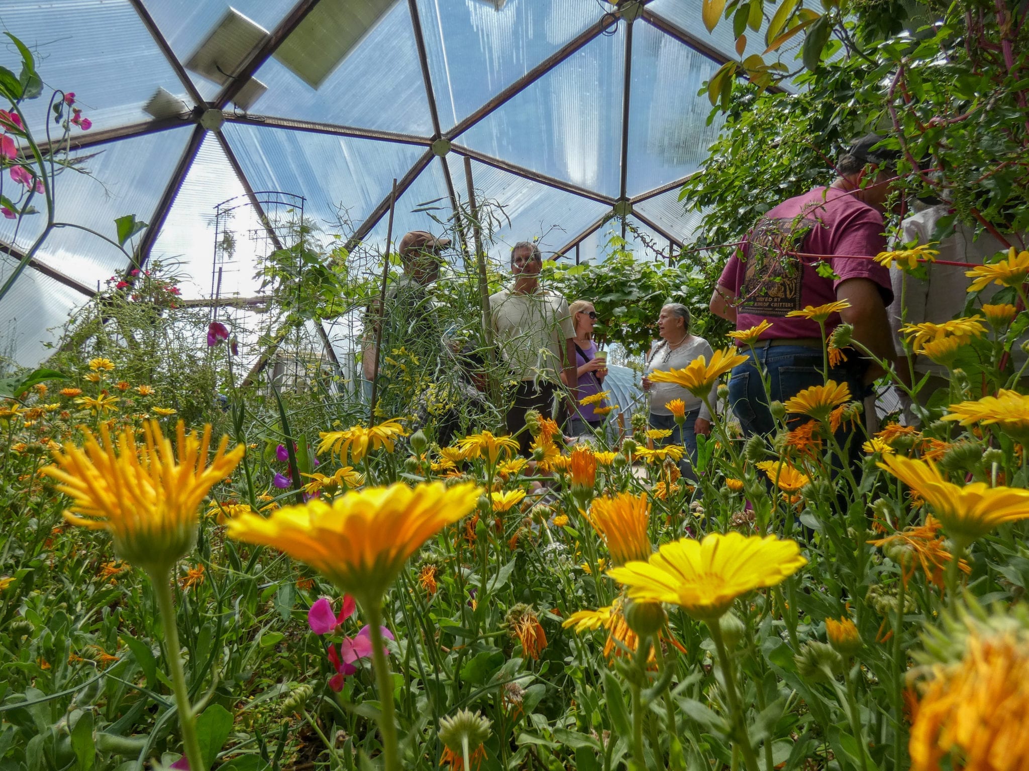 People taking a greenhouse tour in Pagosa Springs, Colorado with flowers