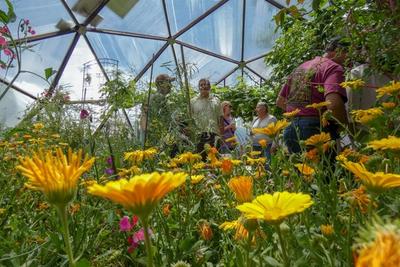 People taking a greenhouse tour in Pagosa Springs, Colorado with flowers