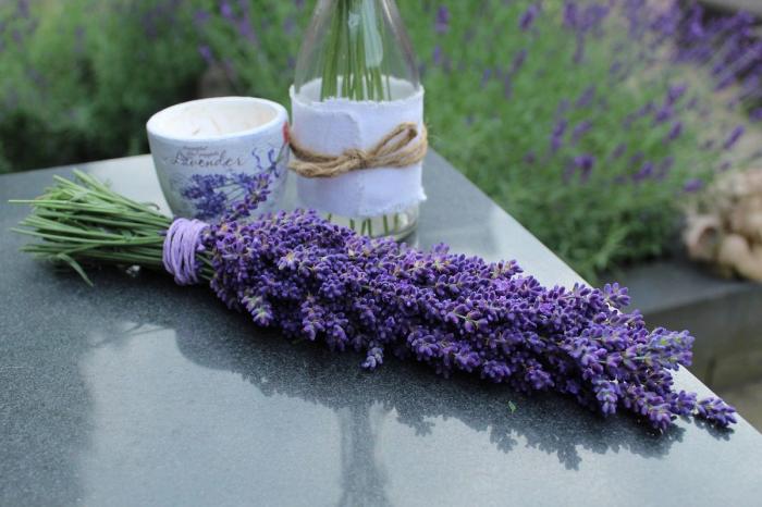 harvested lavender Pixabay