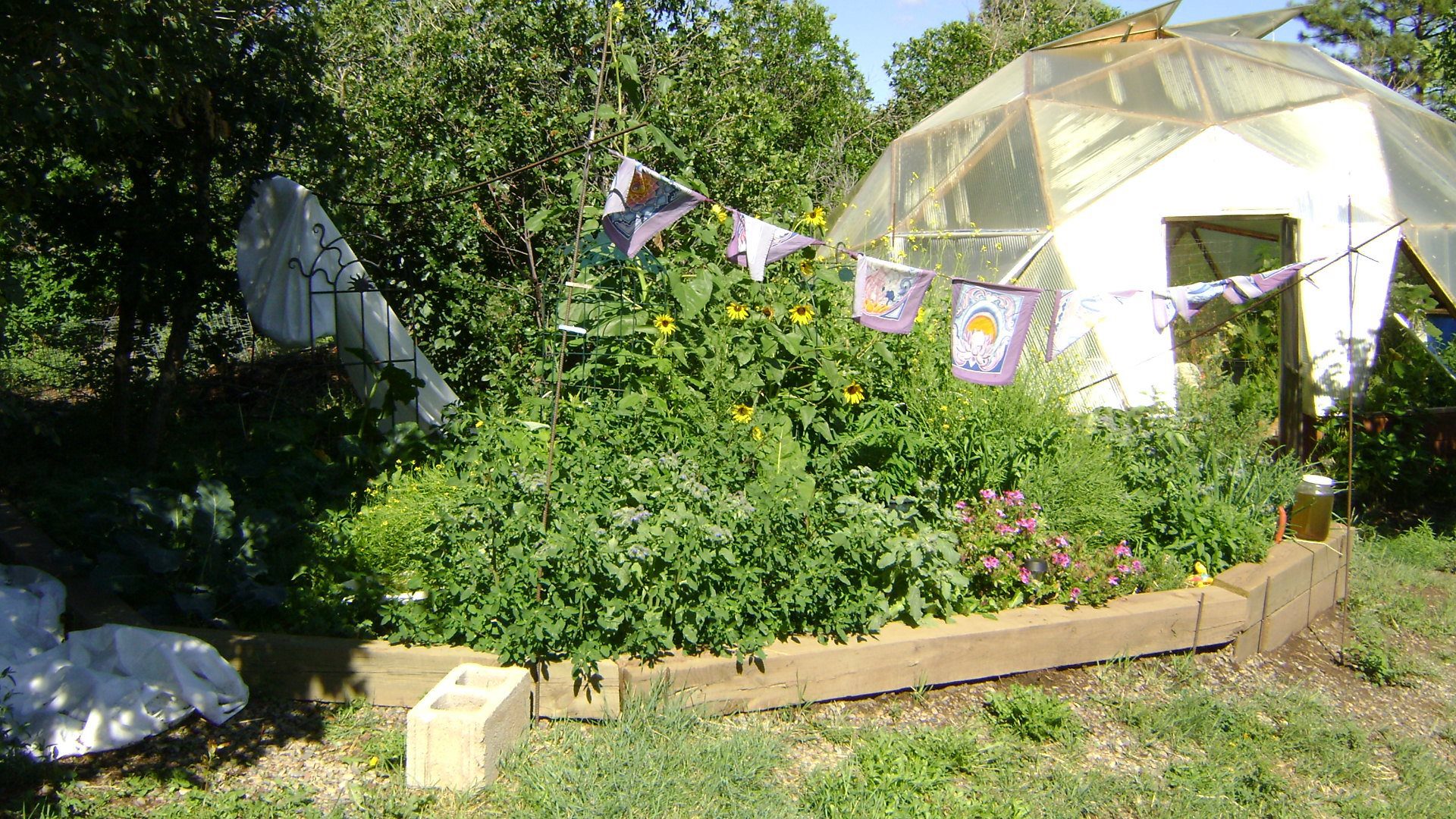 Enchanted Valley Farm Grows Year Round image
