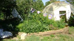 big outdoor garden and dome greenhouse garden together