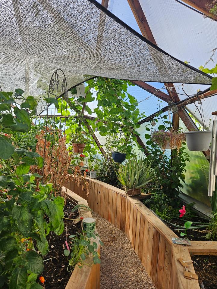 Janet's dome garden with shade cloth over walkway between beds and vines growing