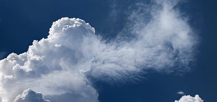 maintain vibrant health