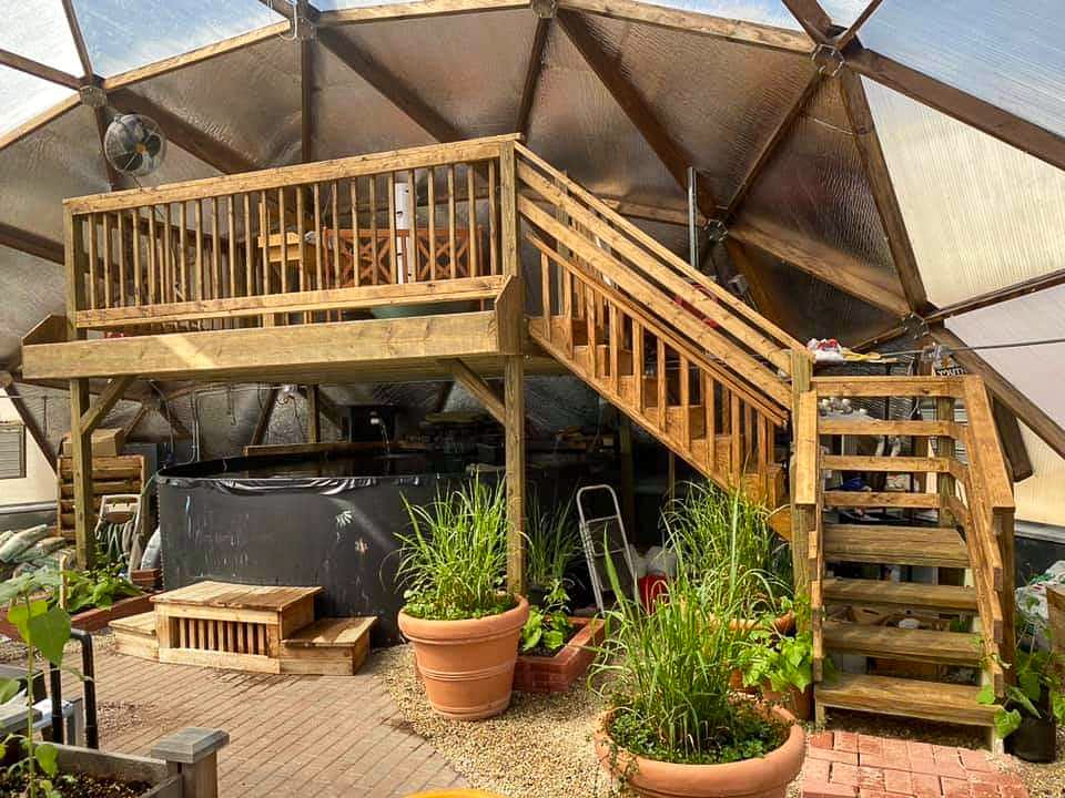 pond deck