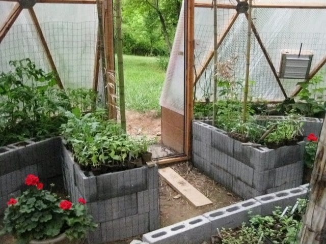 cinder blocks used to create raised beds in the greenhouse