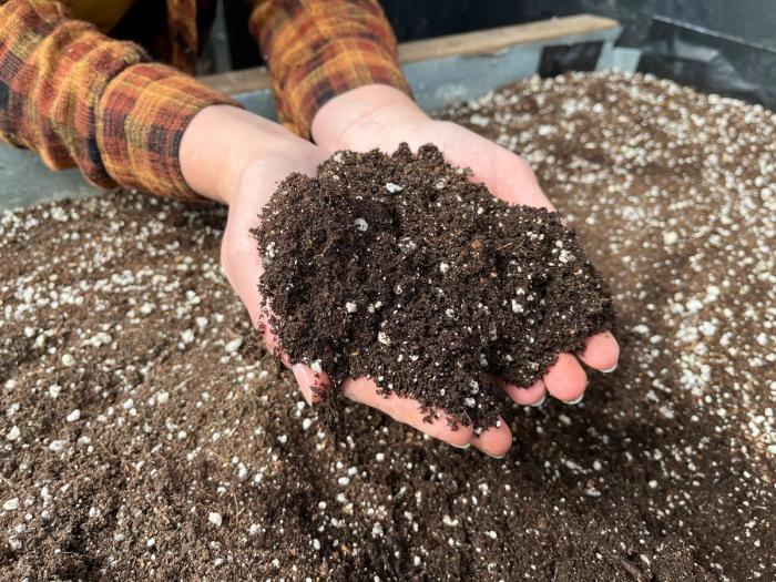 person holding a handful of paonia soil potting mix