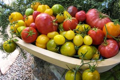 Tomato image