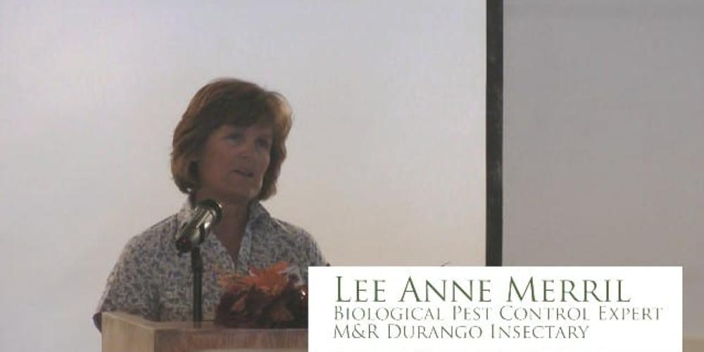 Homemade Organic Pest Control Sprays image