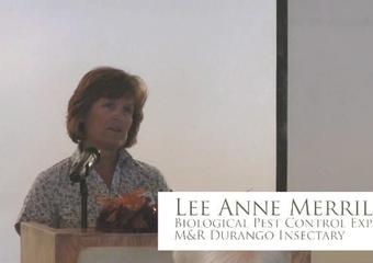 Homemade Organic Pest Control Sprays image