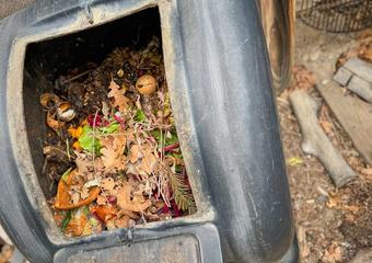 Adding Composted Leaves to the Soil image