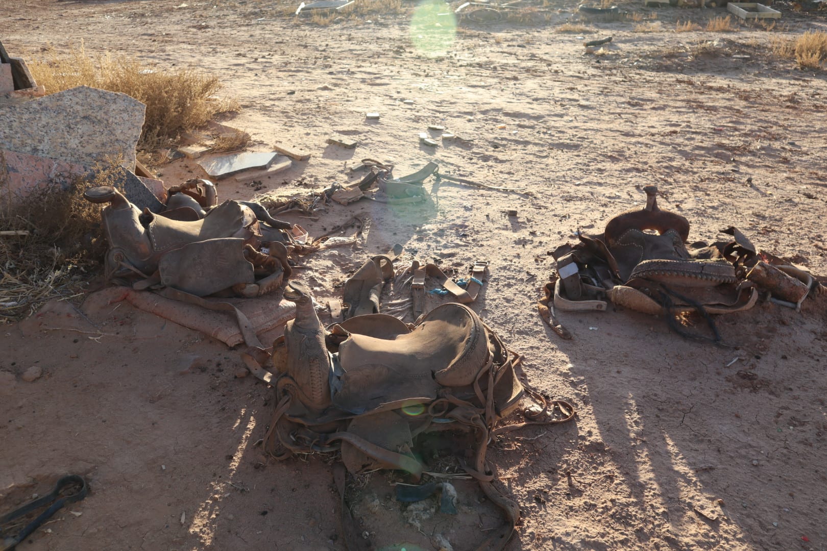 horse saddles