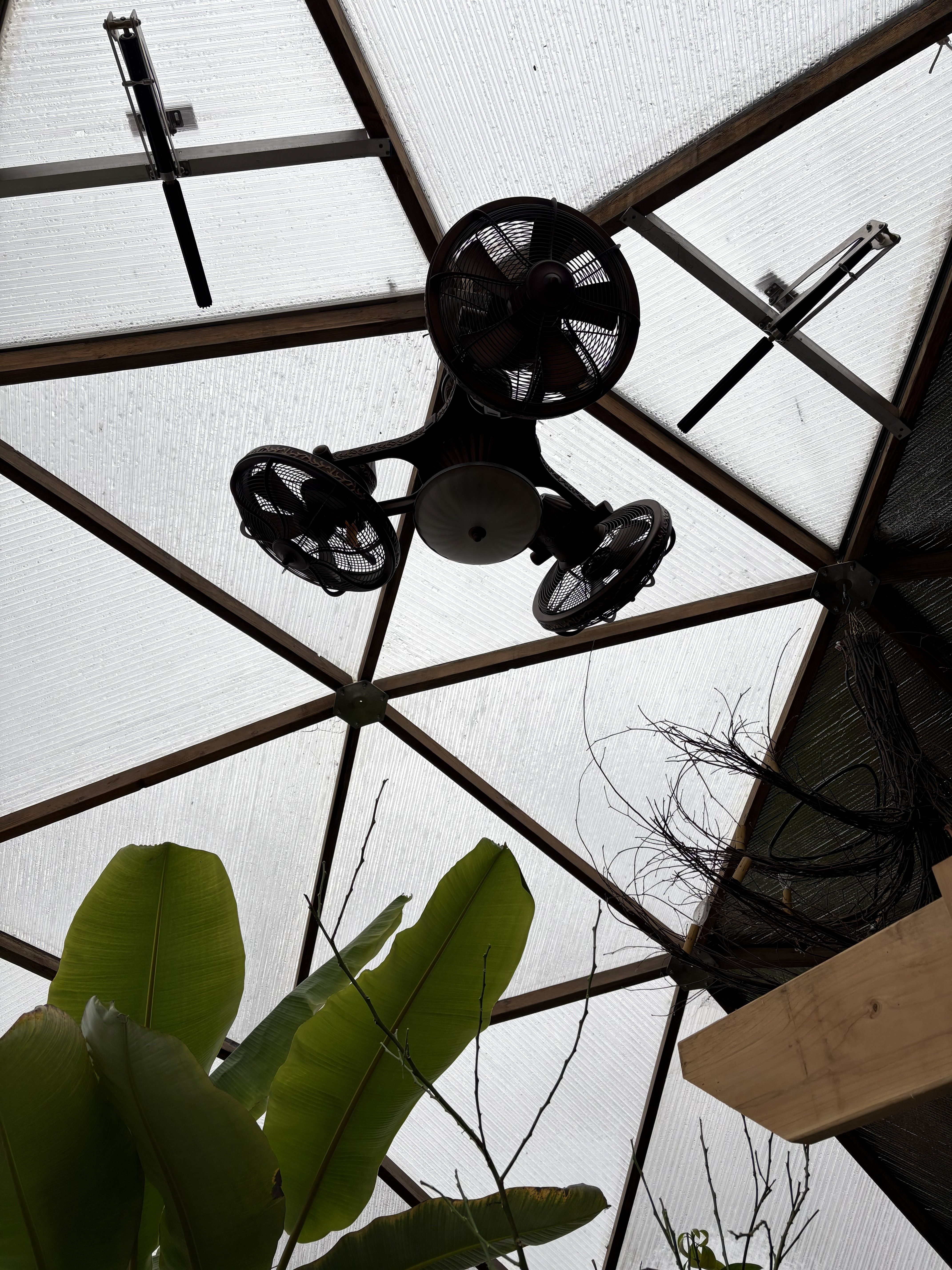 three headed fan hung from the top of greenhouse next to the automatic vents
