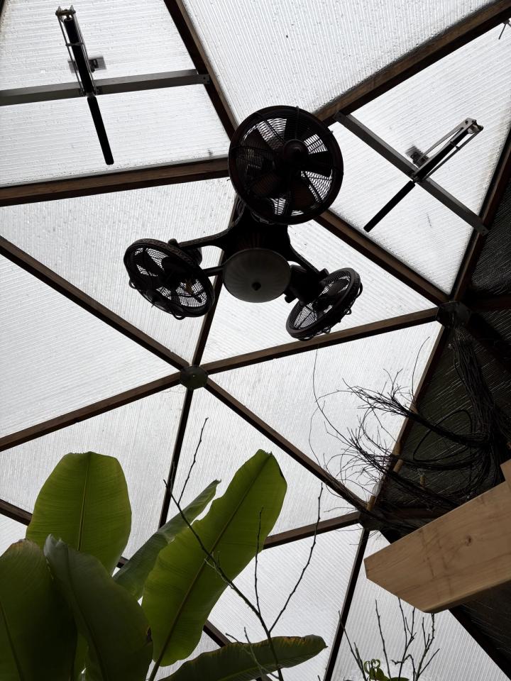 three headed fan hung from the top of greenhouse next to the automatic vents