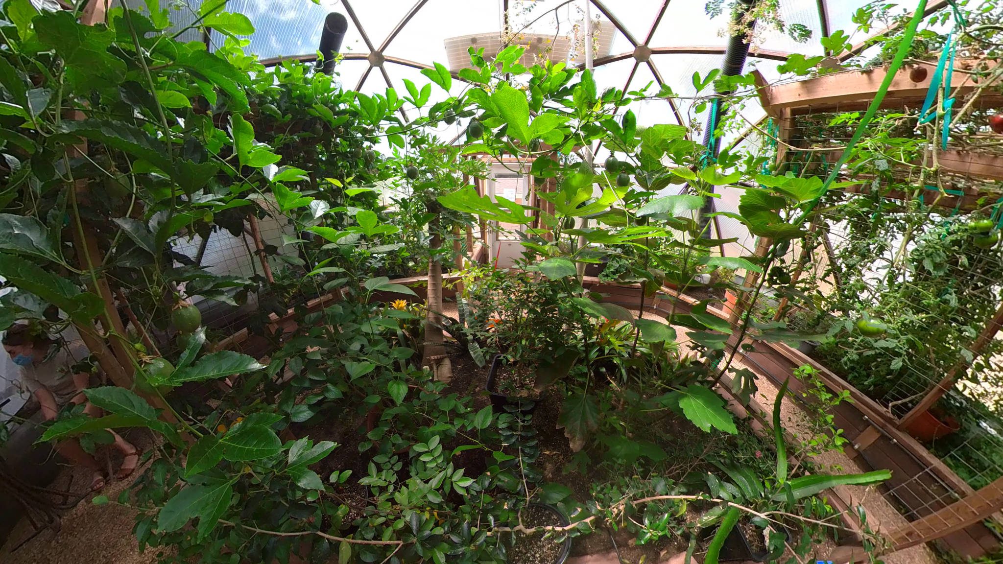 Snapshot_202206161_030600