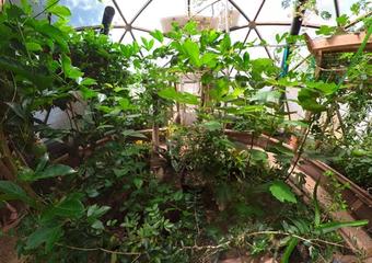 Snapshot_202206161_030600