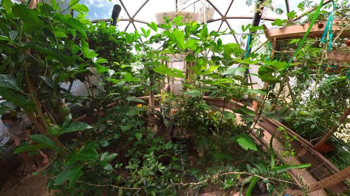 climate battery greenhouse