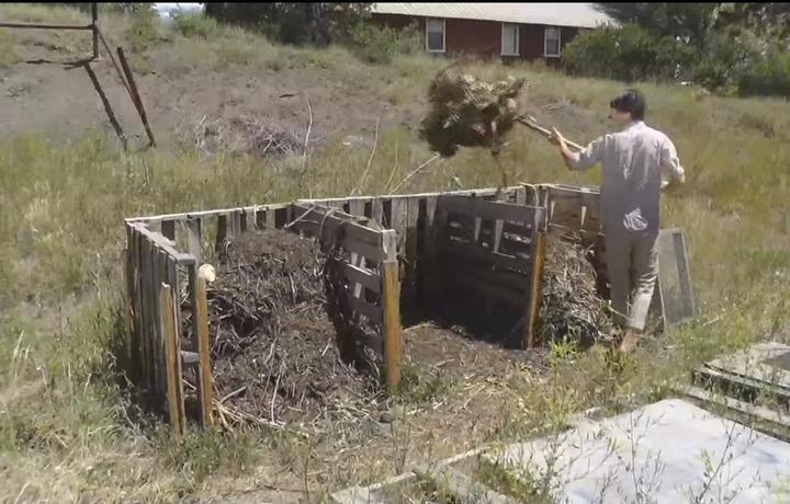 gardener turning compost pile
