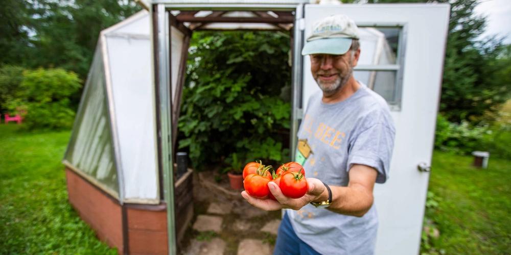 Sustainable Greenhouse image