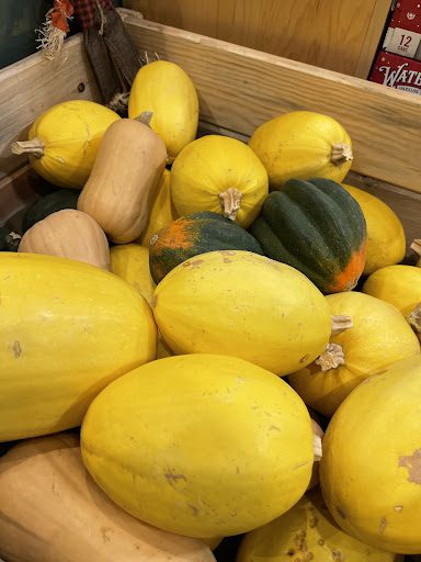 Organic Butternut Squash