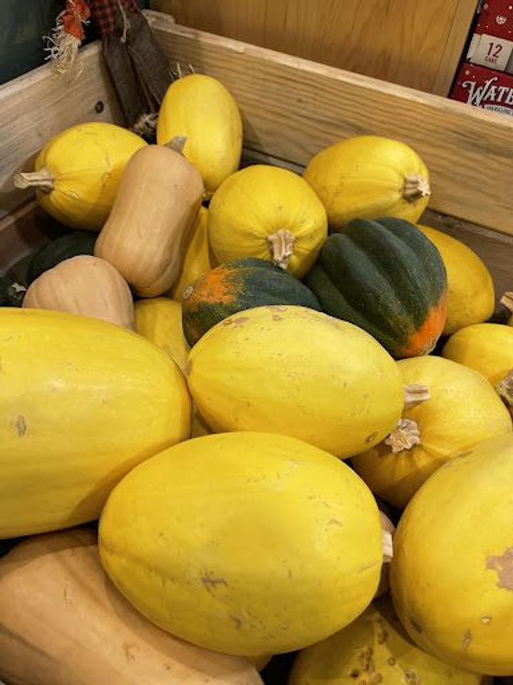 Organic Butternut Squash