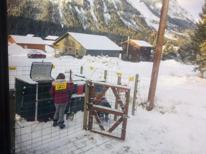 person composting in the snow