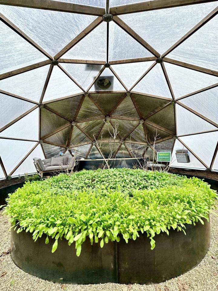 Center bed in a Growing Dome greenhouse