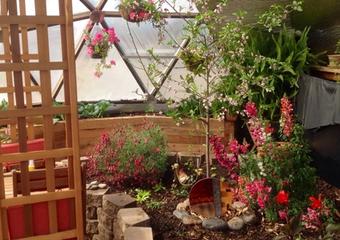 Beautiful Blooms in Northern New Mexico Greenhouse – March 2014