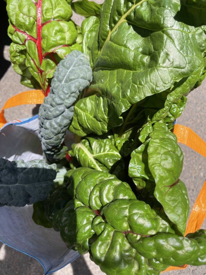 bundle of swiss chard and kale