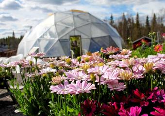 19055485_1576125615792304_8881622063671877924_o