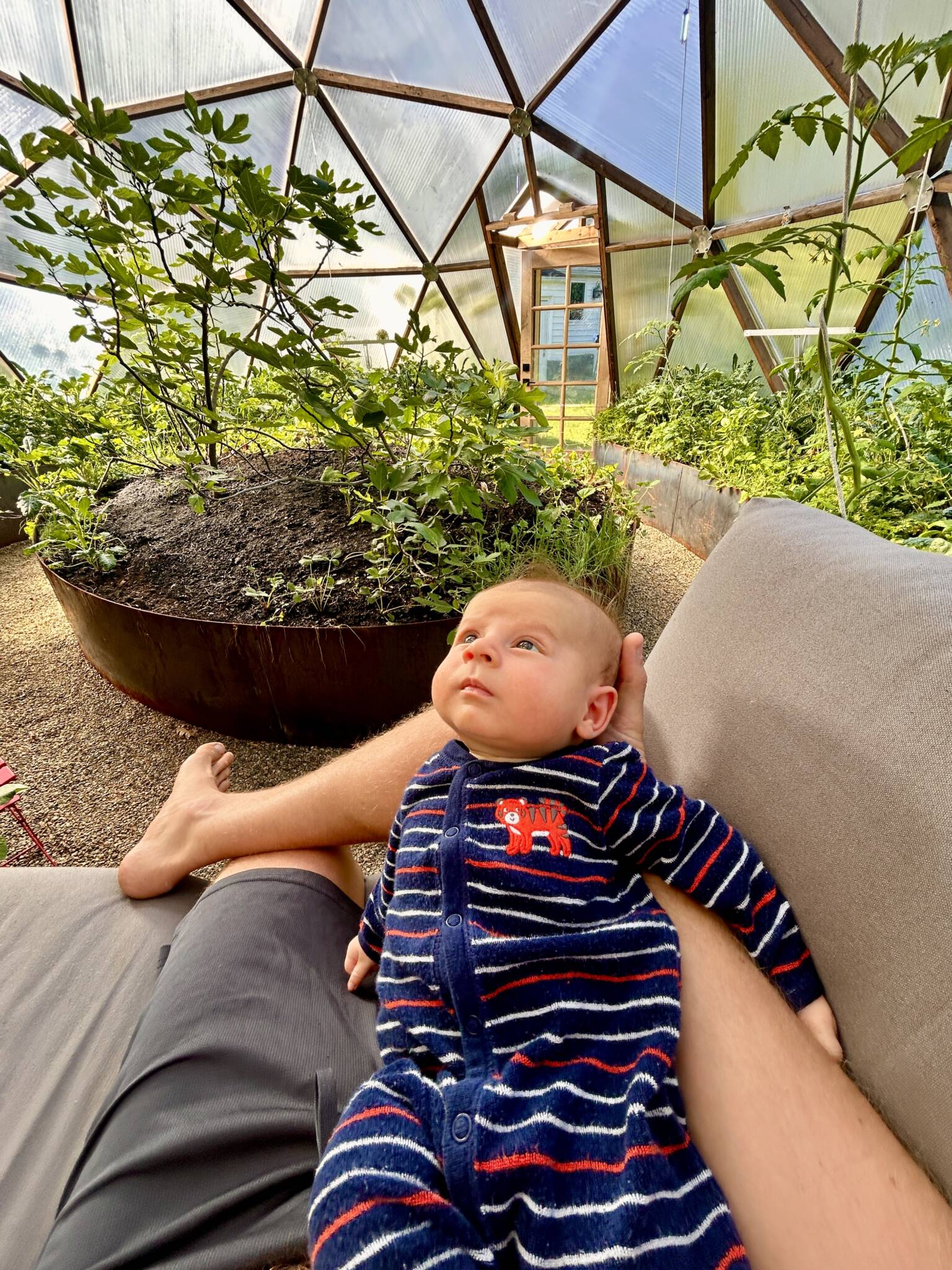 Child resting on a couch among plants inside a Growing Dome in Medford, Massachusetts