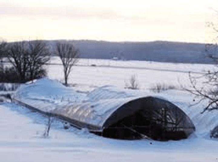 winter gardening hoop house