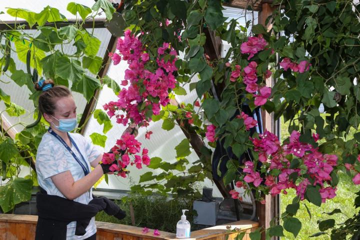 students farming inside school garden program greenhouse