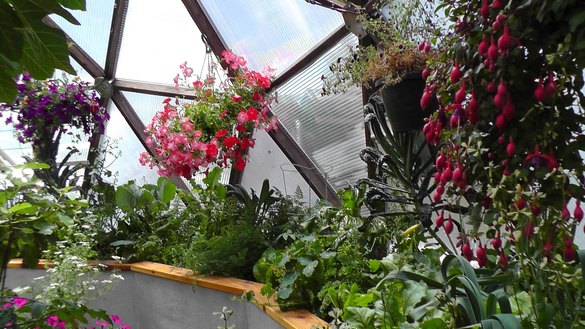 Gardening How-To Video Series image