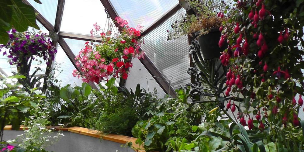 Gardening How-To Video Series image