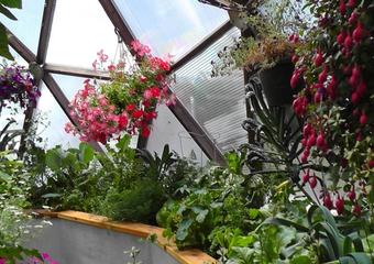 Gardening How-To Video Series image