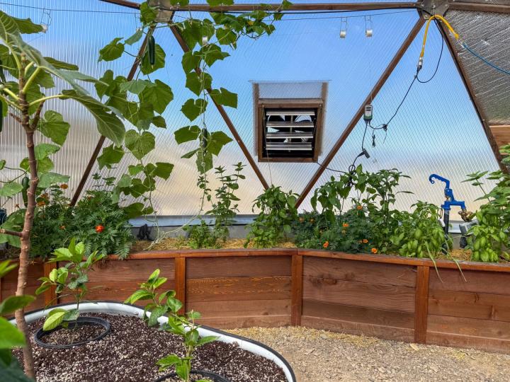 Electric fan behind a raised garden bed full of lush green plants in a geodesic dome