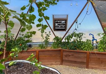 Electric fan behind a raised garden bed full of lush green plants in a geodesic dome