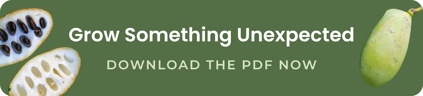 grow something unexpected download the pdf now
