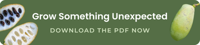grow something unexpected download the pdf now
