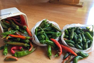 Green Chile image