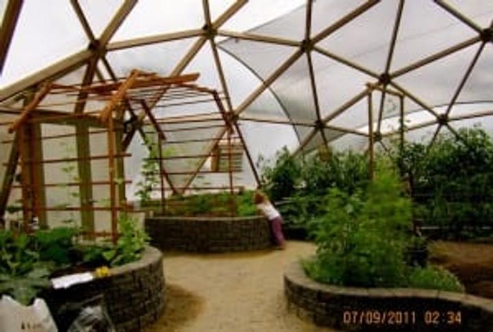 Interior of Growing Dome Greenhouse in Canada with trellis