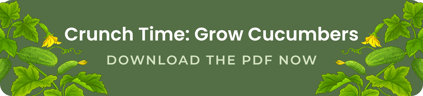 crunch time grow cucumbers download the pdf now