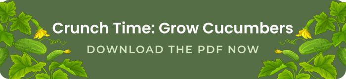 crunch time grow cucumbers download the pdf now