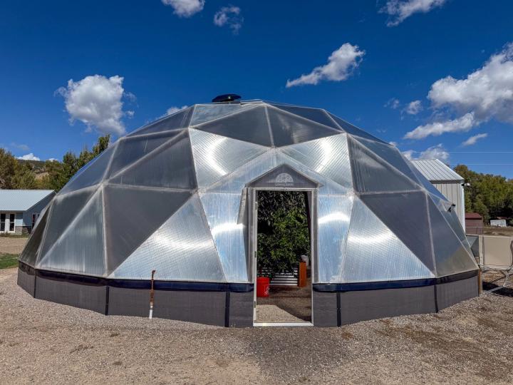 Exterior of a Growing Dome greenhouse with dark grey siding and an avocado tree visible through the open door.