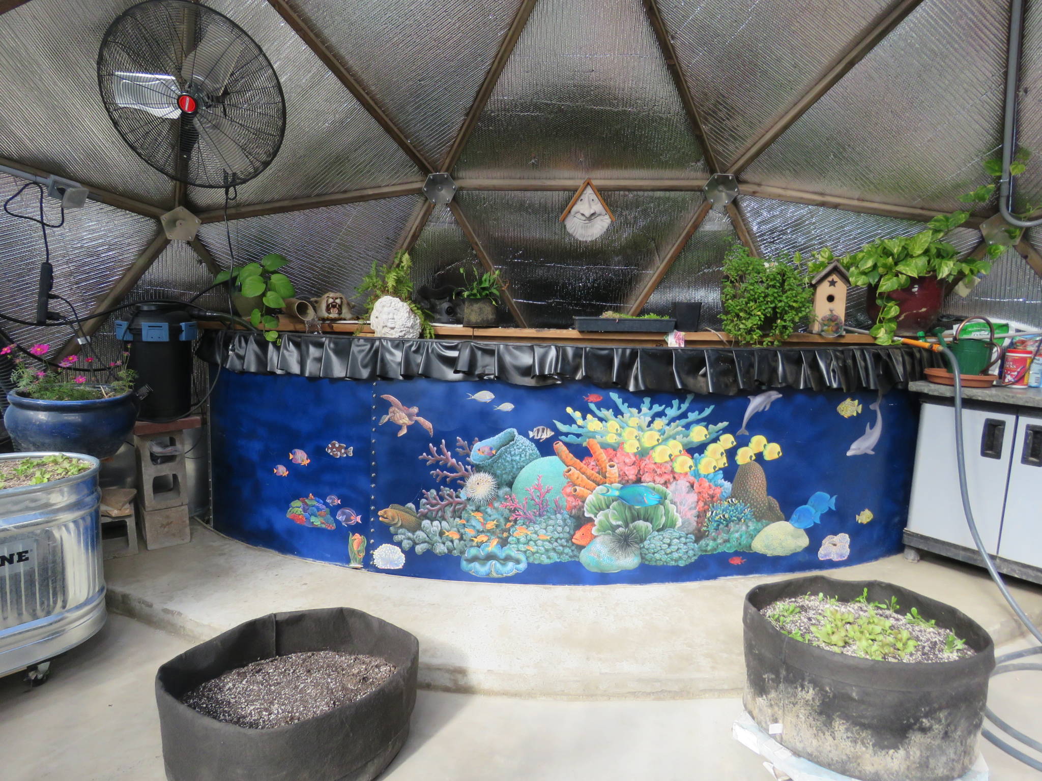 ocean themed pond