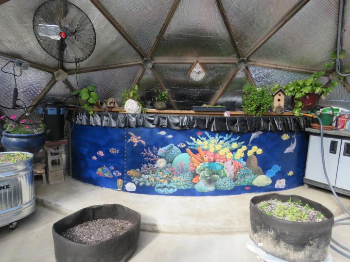 ocean themed pond